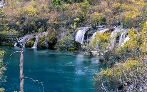 高性能智能